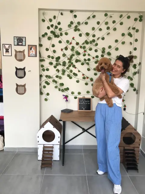 BİXİ Pet Kuaför ve Pet Market fotoğraf 3