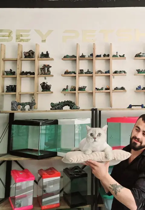bozbey park pet kuaför & petshop fotoğraf 4