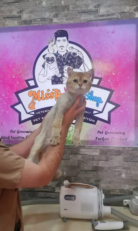 Missy Pet Kuaför & Bakım fotoğraf 4