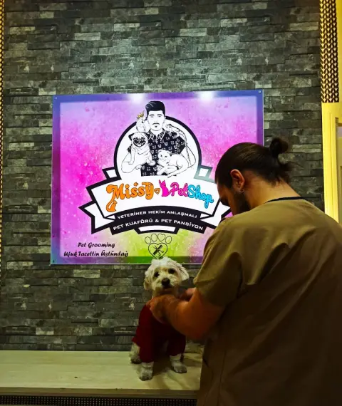 Missy Pet Kuaför & Bakım fotoğraf 5