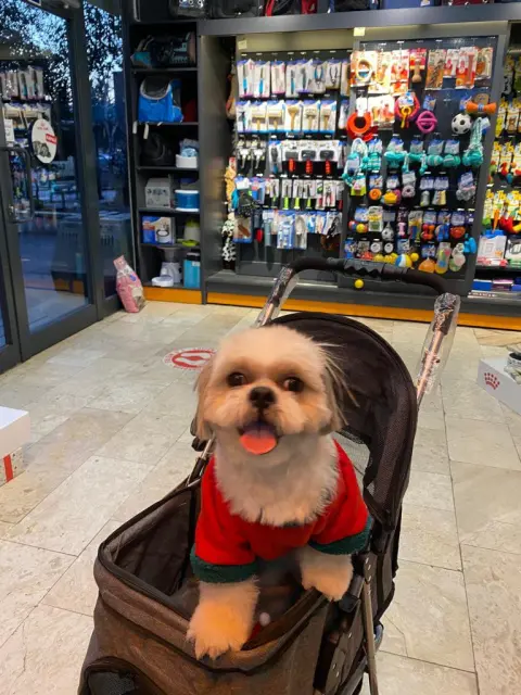 Markamama Petshop & Kuaför fotoğraf 2