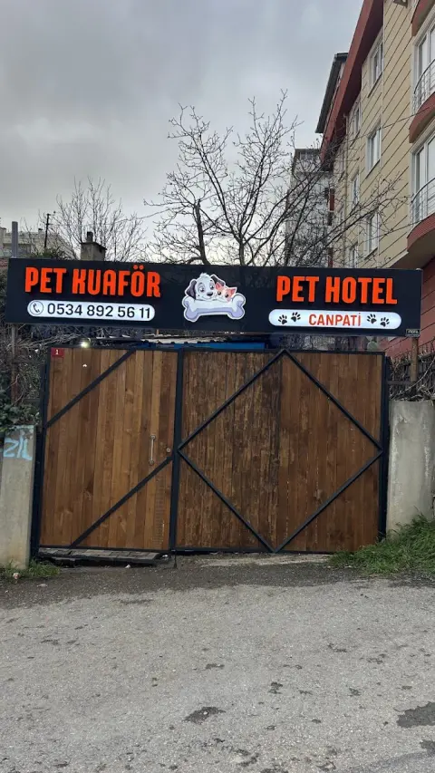 Can Pati Kedi / Köpek Pet Kuaförü İstanbul Pendik fotoğraf 5