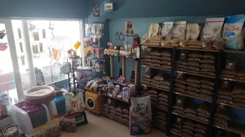 Üçyol | Patica PetShop & Pet Kuaför fotoğraf 2