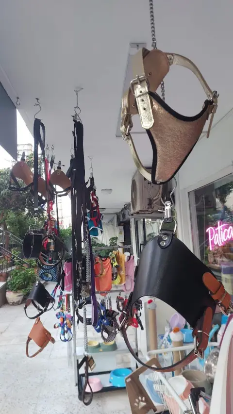 Üçyol | Patica PetShop & Pet Kuaför fotoğraf 5