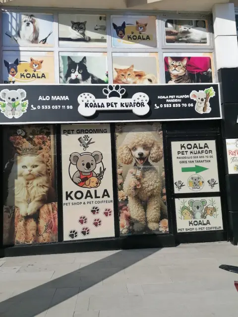 KOALA PET KUAFÖR🐨 ISPARTA🐨 fotoğraf 2