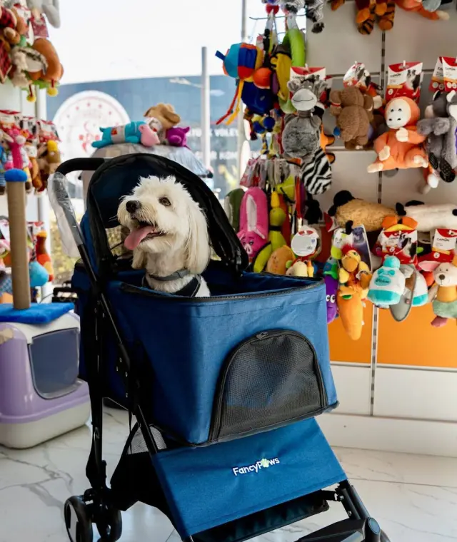 Noktapati Pet Kuaför işletme fotoğrafı