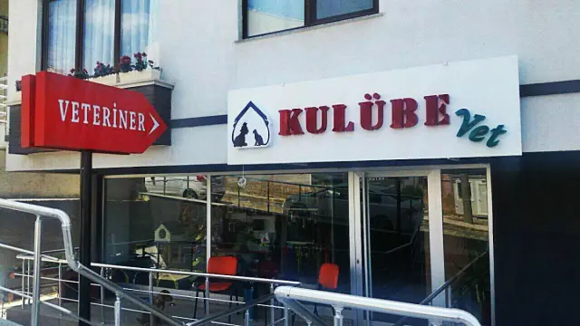 Kulübe Pet Shop & Pet Kuaför işletme fotoğrafı