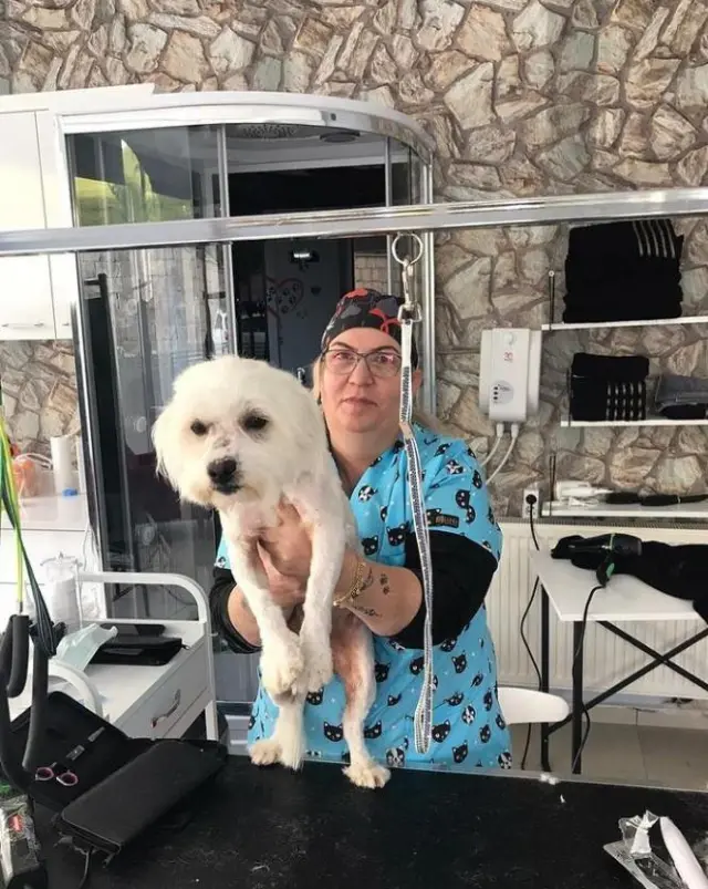 Petarte Pet Kuaför işletme fotoğrafı