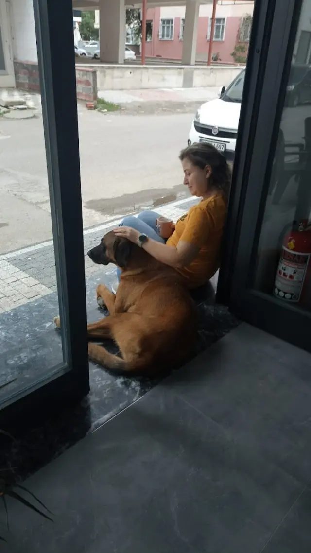 Sirius Pet Kuaför işletme fotoğrafı