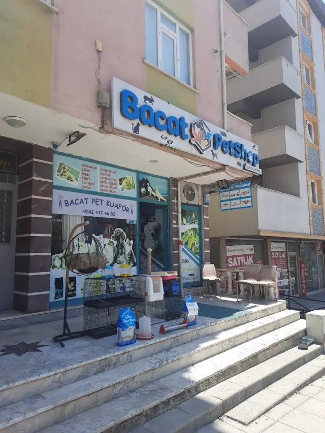 Bacat Petshop pet kuaför işletme fotoğrafı