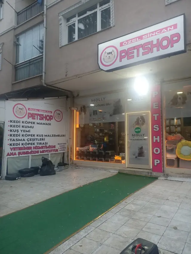 Sincan pet kuaförü kedi tıraşı işletme fotoğrafı