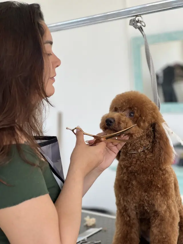 Patikolog Pet Kuaför Eryaman Şube işletme fotoğrafı