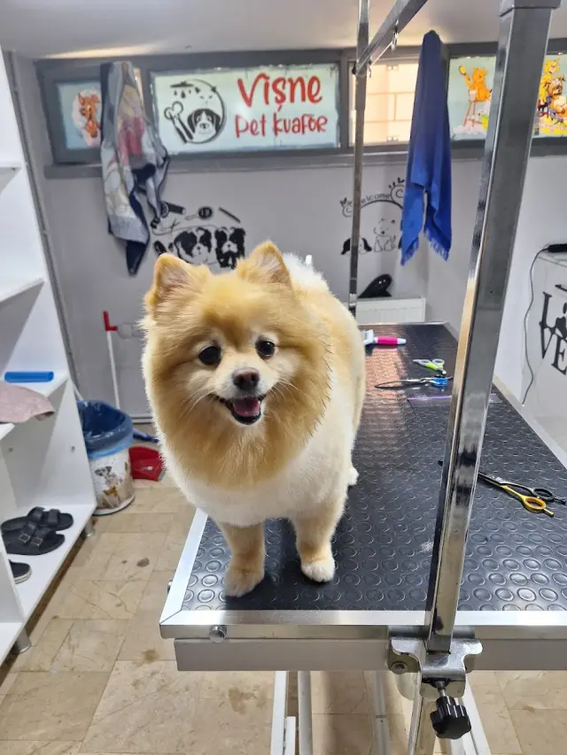Vişne Veteriner Kliniği & Pet Kuaför işletme fotoğrafı