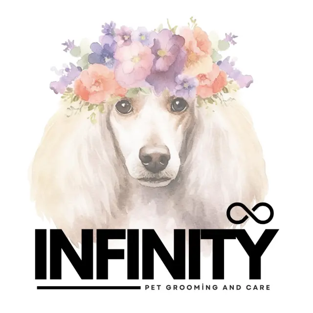 INFINITY / Pet Kuaför ve Pet Kuaför Eğitim Merkezi işletme fotoğrafı