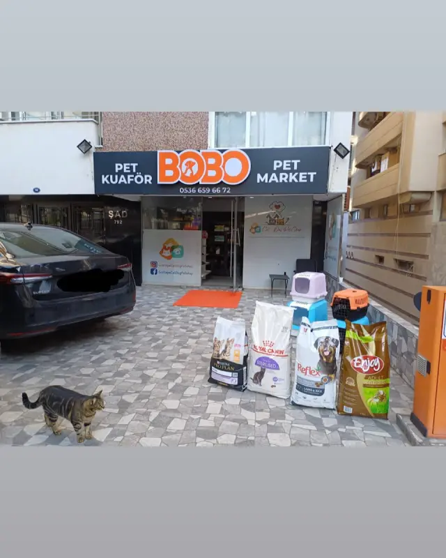 Bobo Pet Kuaför & Pet Market işletme fotoğrafı