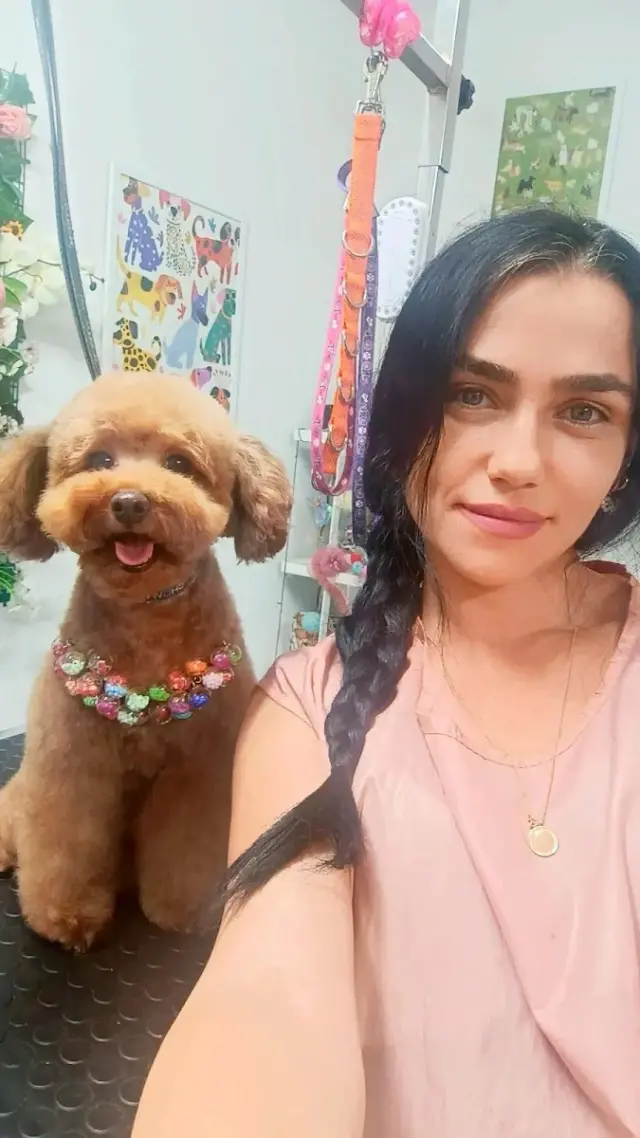 Bodrum Fulia Pet Kuaför işletme fotoğrafı