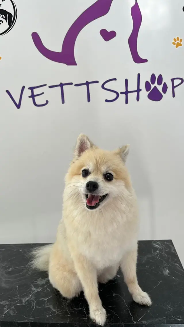 VettShop Pet Kuaför işletme fotoğrafı