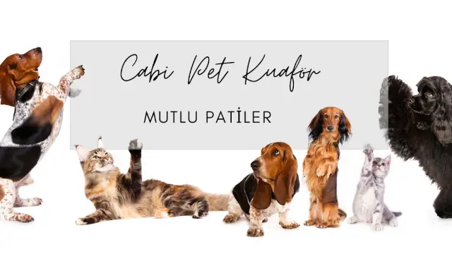 Cabi Pet Kuaför işletme fotoğrafı