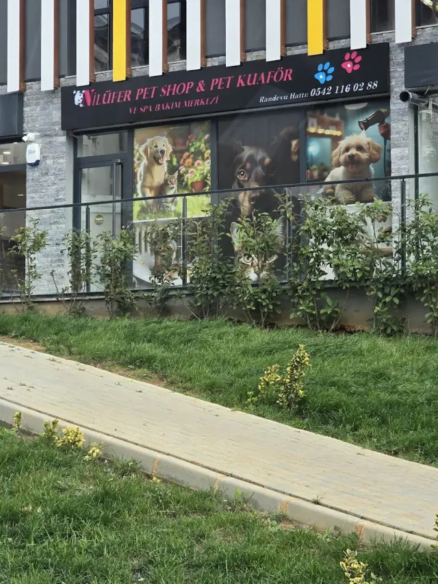 Nilüfer Petshop & Pet Kuaför ve Spa Bakım Merkezi işletme fotoğrafı