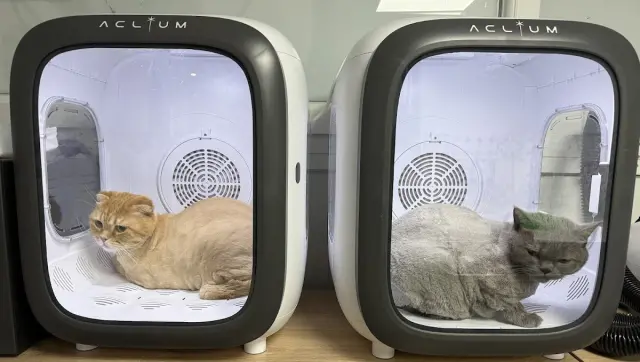 Gizay Pet Kuaför işletme fotoğrafı
