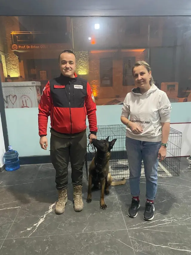 Pet styling-pet kuaför işletme fotoğrafı