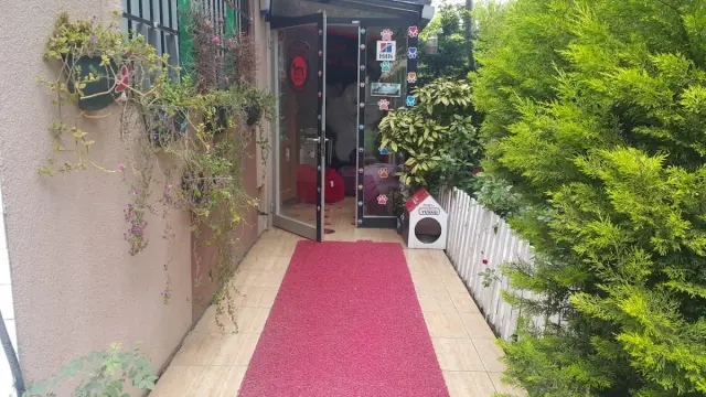 Memo's Pet Kuaför işletme fotoğrafı