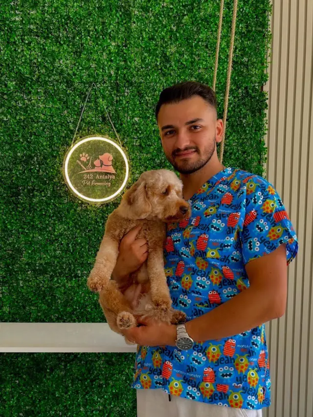 Antalya Pet Kuaför 242 işletme fotoğrafı