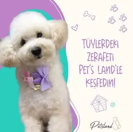 Pet's Land Pet Kuaför işletme fotoğrafı