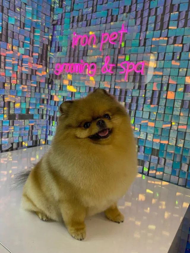 IRON PET KUAFÖR işletme fotoğrafı