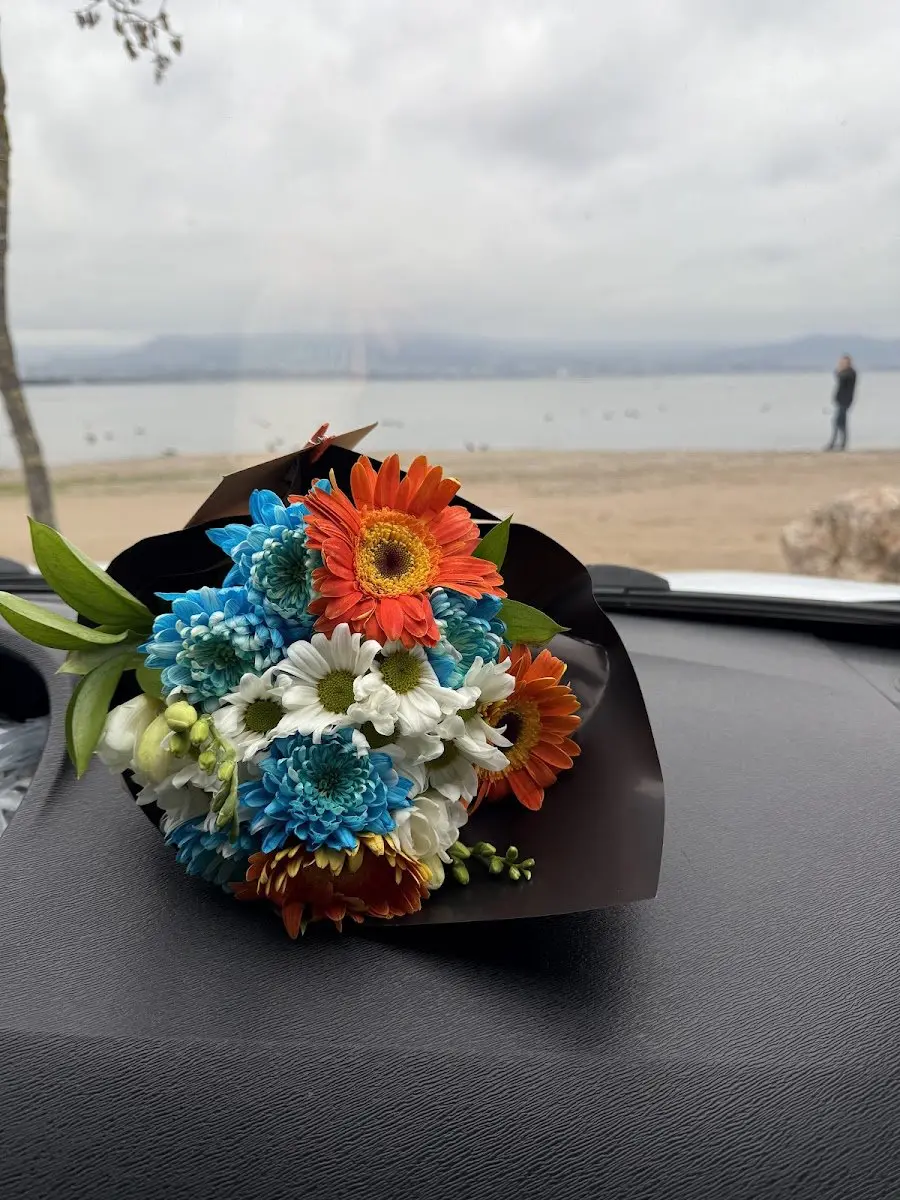 Ceren Petshop&KUAFÖR işletme fotoğrafı