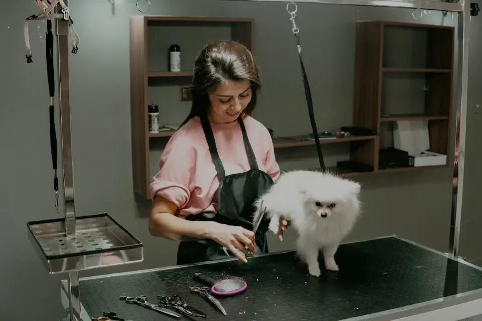 Köpük Pet Kuaför işletme fotoğrafı