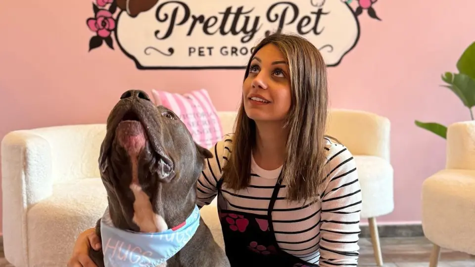 Pretty pet kuaför işletme fotoğrafı