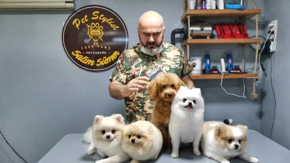 Four Paws Pet Kuaför & Pet Shop işletme fotoğrafı