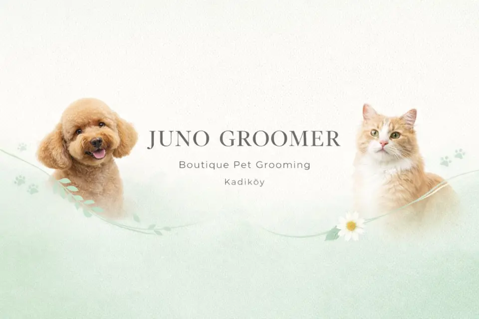 Juno Groomer | Pet Kuaför & Ozon-Spa işletme fotoğrafı