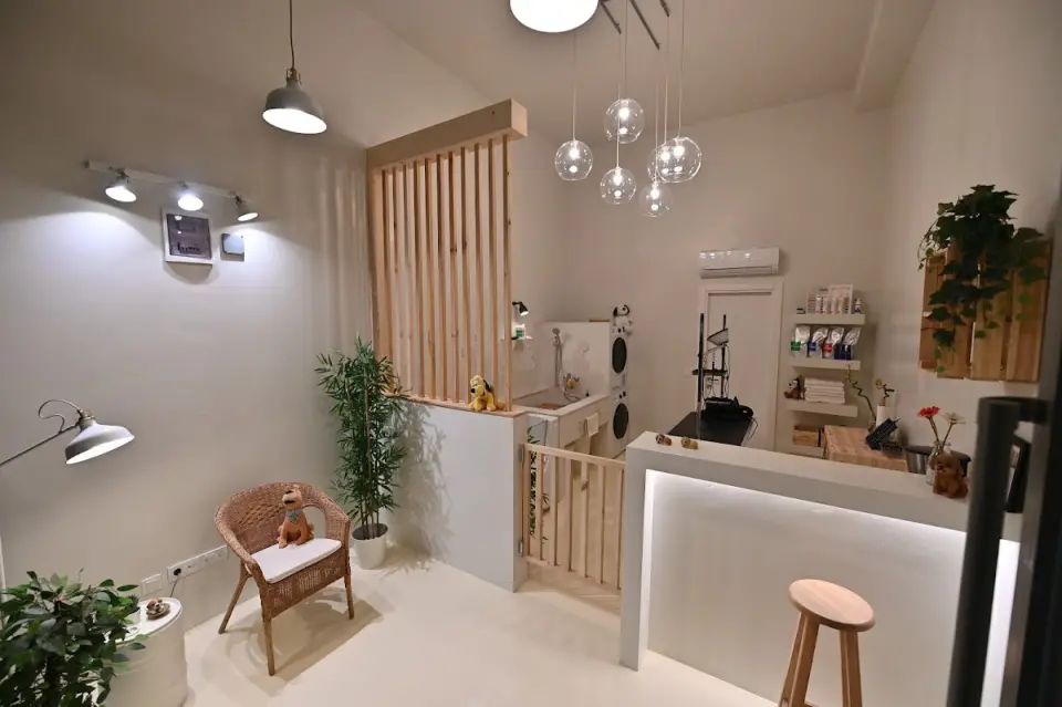 Groomer Bone | Caddebostan Profesyonel Pet Kuaför işletme fotoğrafı