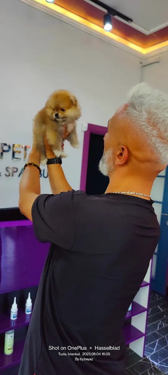 Pet kuaför beyaz işletme fotoğrafı