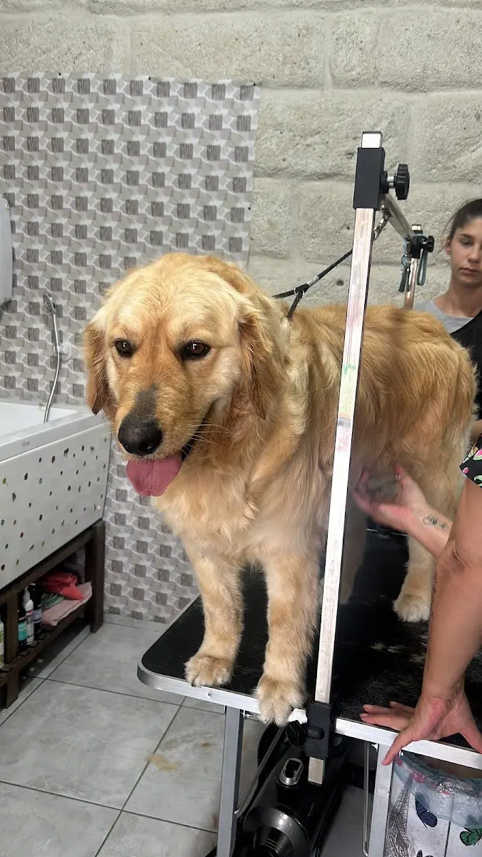 Luca Pet Kuaför işletme fotoğrafı