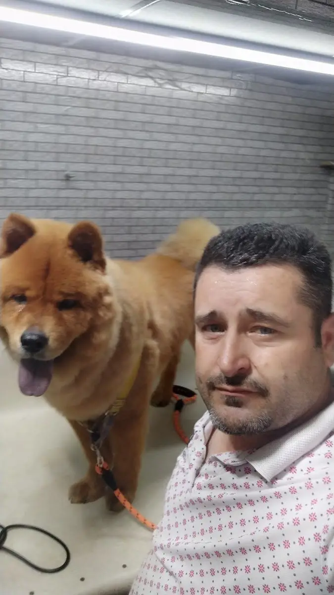 STAR PET KUAFÖR BAKİM işletme fotoğrafı