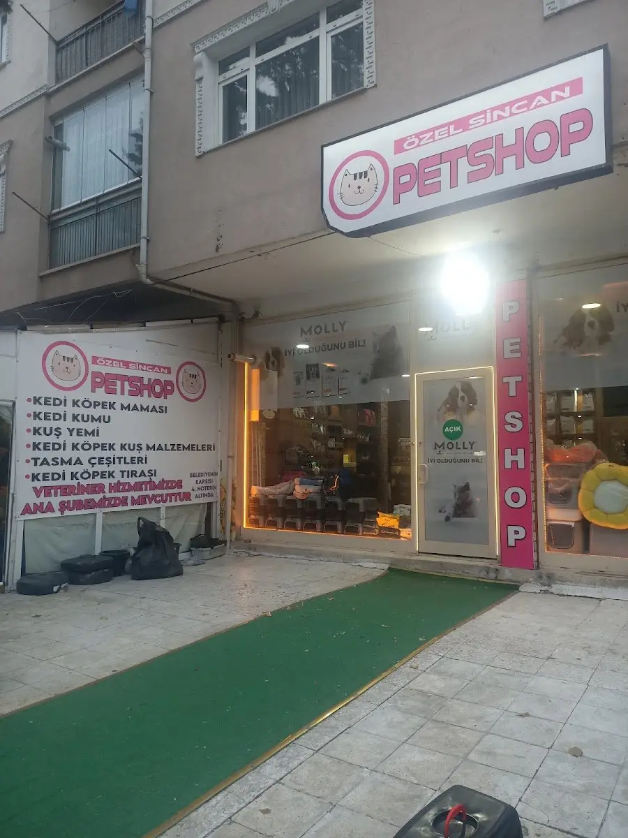 Sincan pet kuaförü kedi tıraşı işletme fotoğrafı