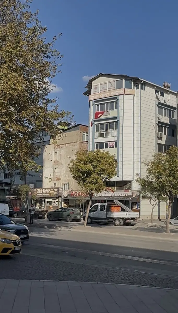 Hachiko Pet Kuaför & Pet Kuaför Eğitimi İzmir işletme fotoğrafı
