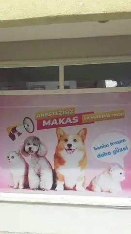 Şanslı Pet Kuaför işletme fotoğrafı