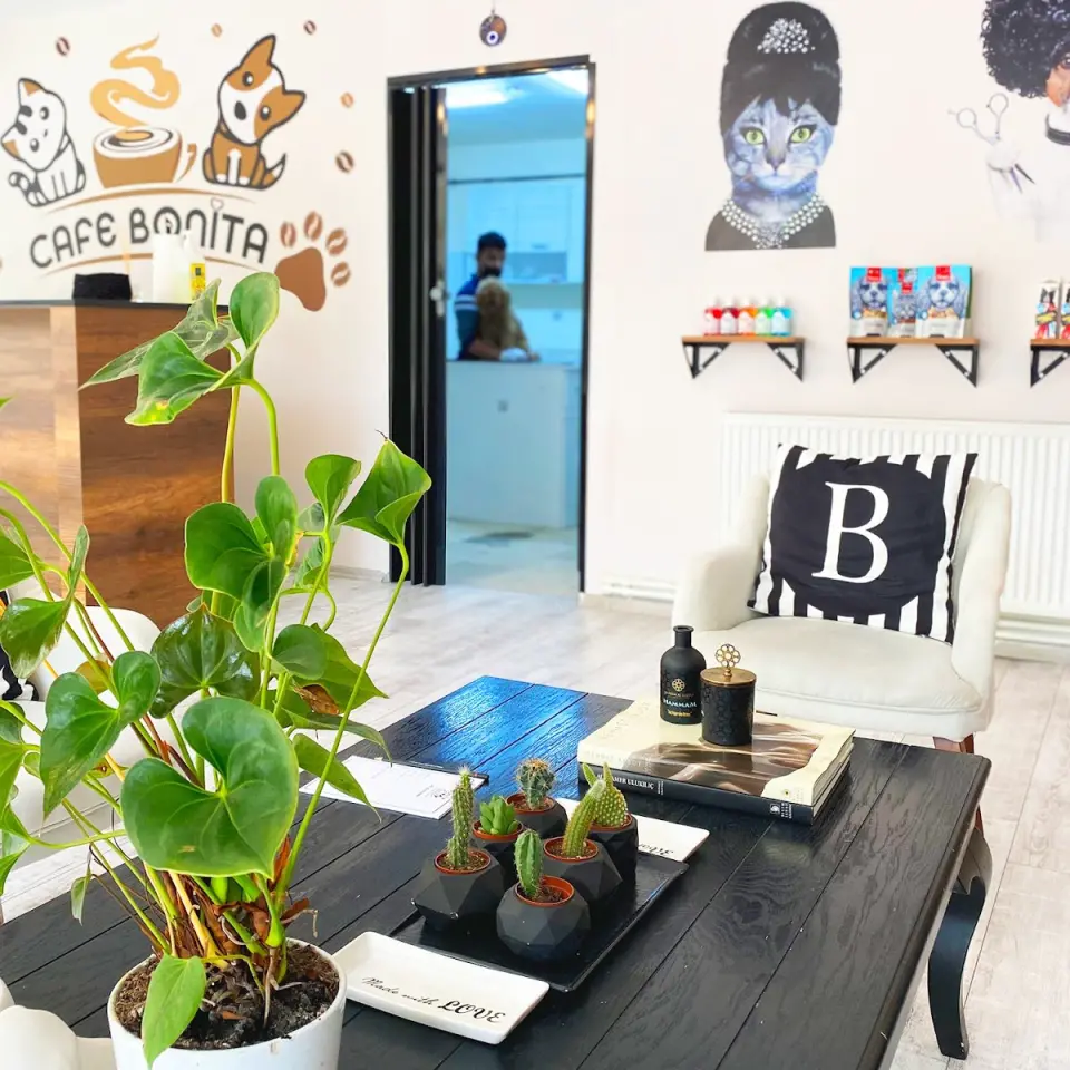 BONİTA PET KUAFÖR VE PET SHOP / ÇEKMEKÖY işletme fotoğrafı