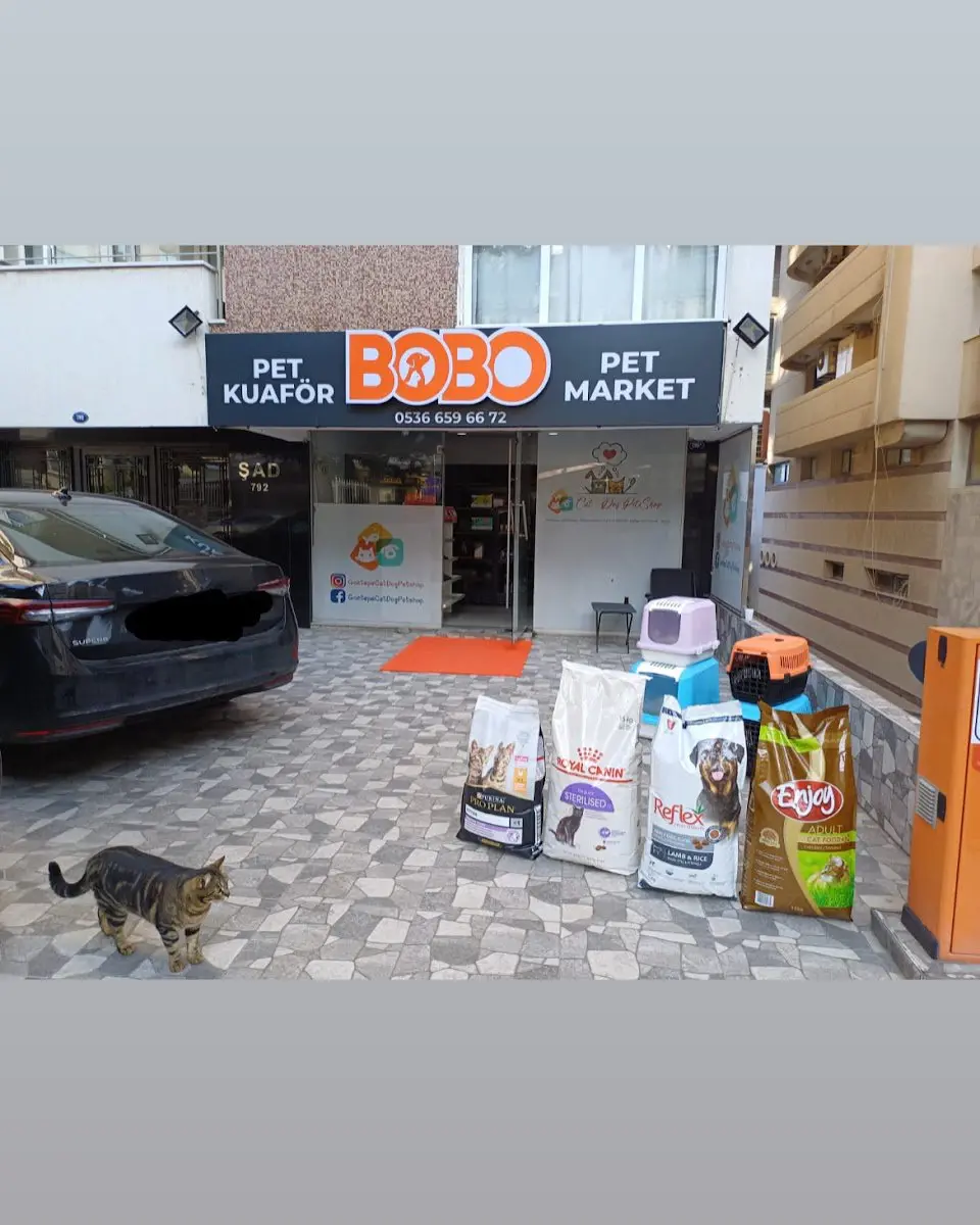 Bobo Pet Kuaför & Pet Market işletme fotoğrafı