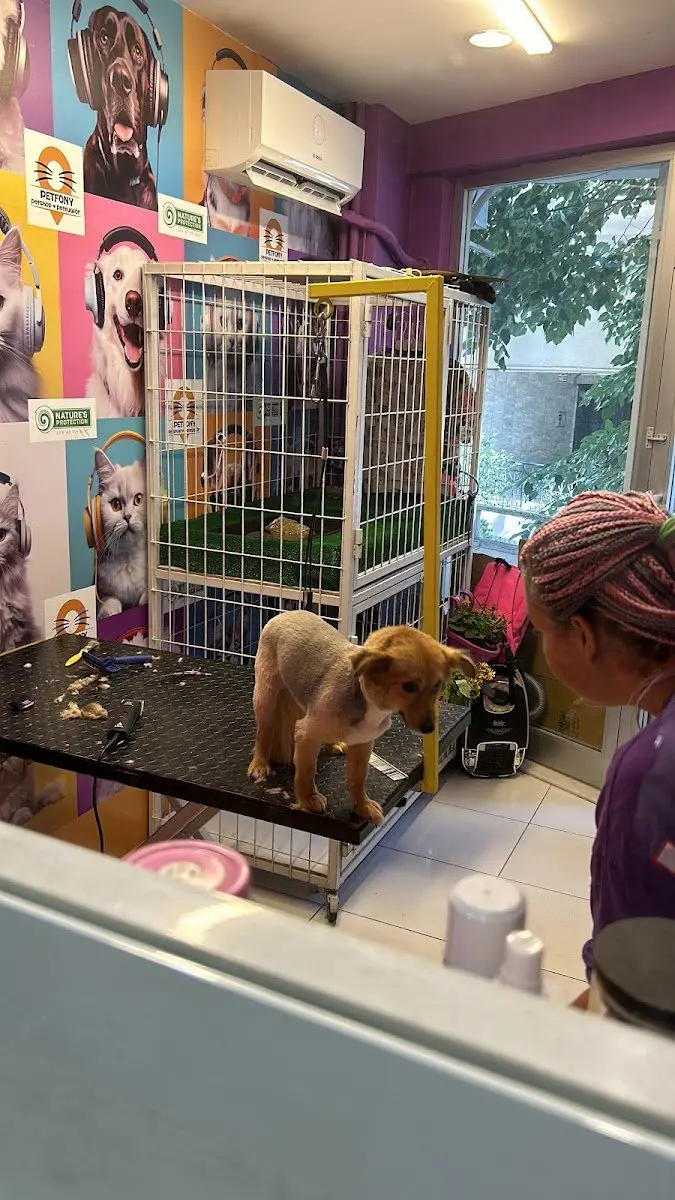 Petfony Petshop ve Pet Kuaför işletme fotoğrafı