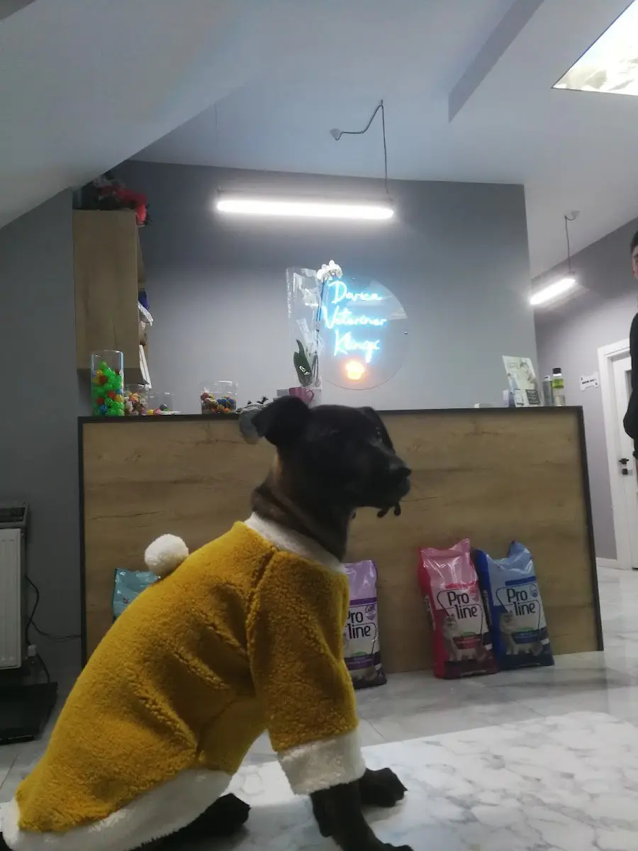 Darıca Kedi Oteli ve Pet Kuaför işletme fotoğrafı
