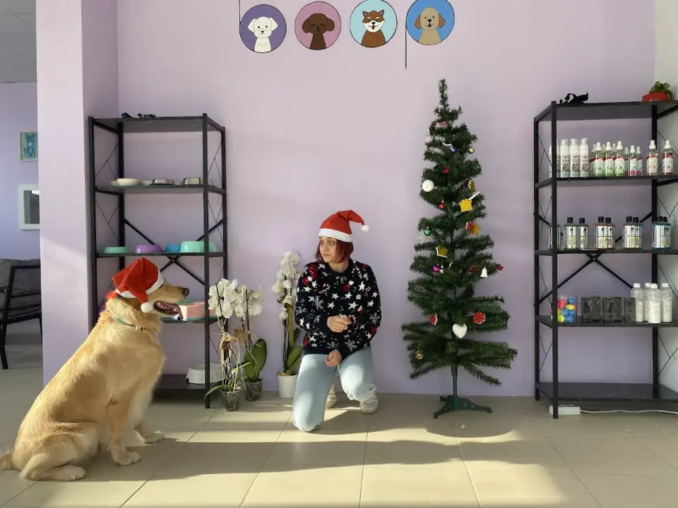 Boop Pet Kuaför Edirne işletme fotoğrafı