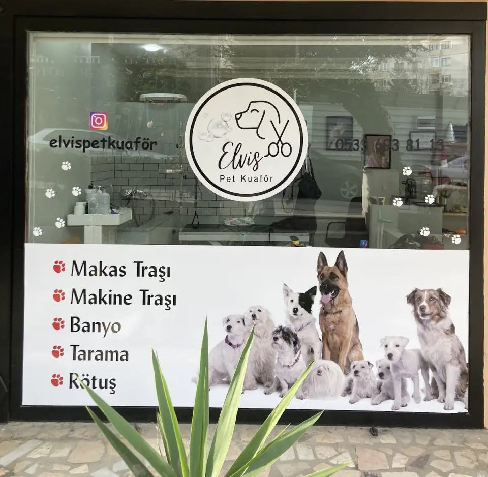 Elvis Pet Kuaför Kadıköy işletme fotoğrafı
