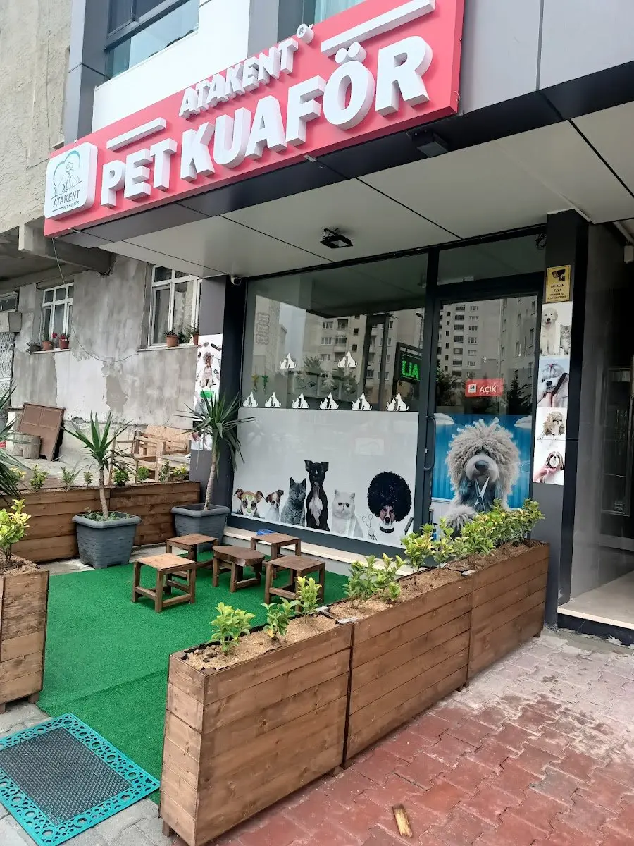 İstanbul Pet Kuaför ATAKENT PET KUAFÖR - İstanbul Anestezisiz Kedi Tıraşı - İstanbul Köpek Tıraşı işletme fotoğrafı