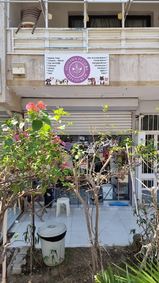 İzmir Pet Kuaför | Adolpha Pet Kuaför işletme fotoğrafı