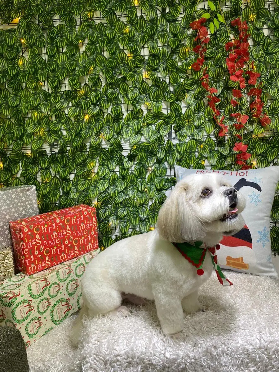 Tarçın pet kuaför & petshop işletme fotoğrafı